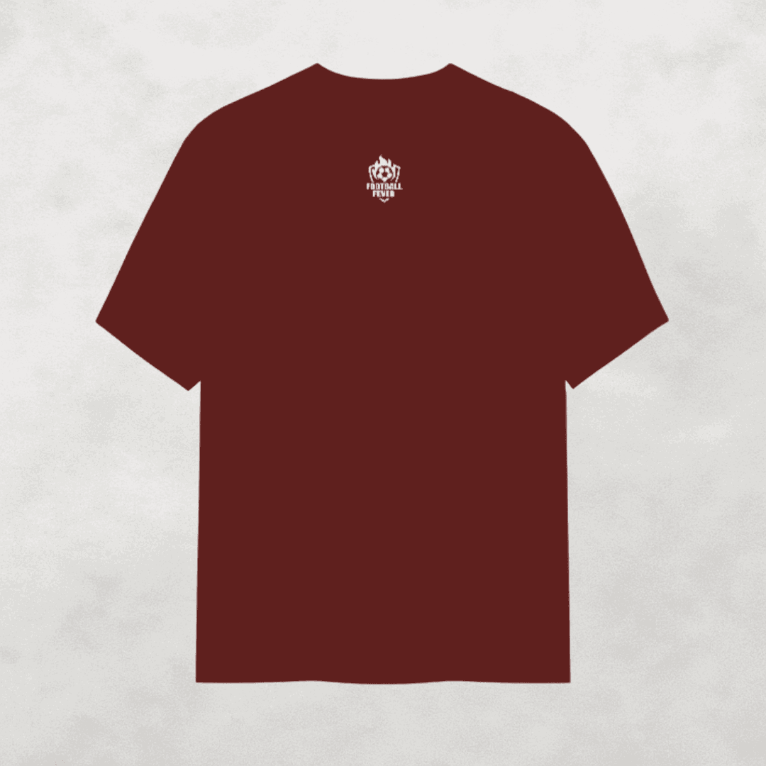 Villa Park t-shirt claret red Aston Villa mens