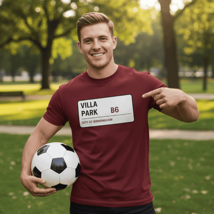 Villa Park t-shirt Aston Villa mens lifestyle